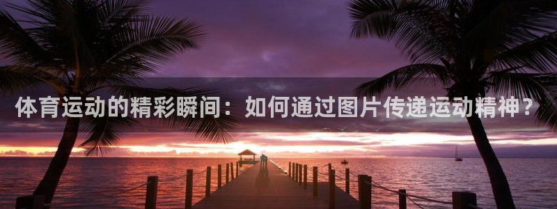 3377体育官网：体育运动的精彩瞬间：如何通过图片传递运动精神？