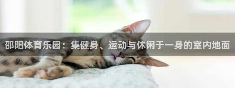 3377体育网页登录入口：邵阳体育乐园：集健身、运动与休闲于一身的室内地面