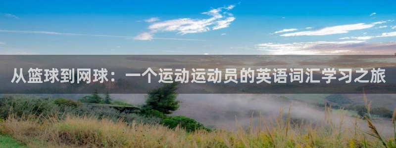 3377体育是正规平台吗：从篮球到网球：一个运动运动员的英语词汇学习之旅
