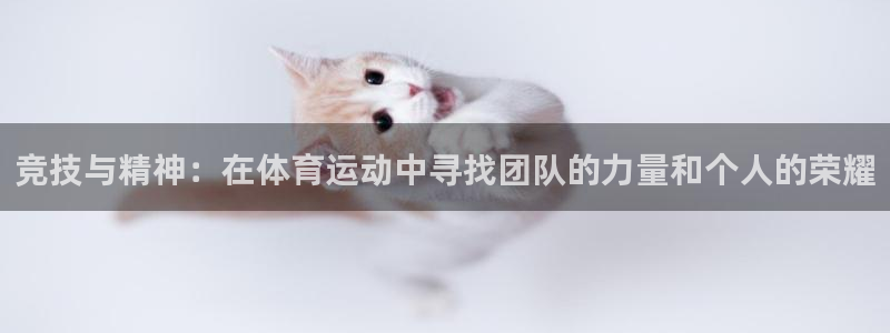 3377体育官方app下载：竞技与精神：在体育运动中寻找团队的力量和个人的荣耀