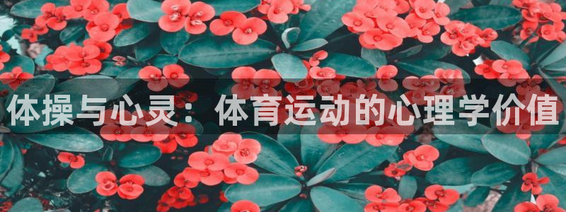 3377体育靠谱吗：体操与心灵：体育运动的心理学价值