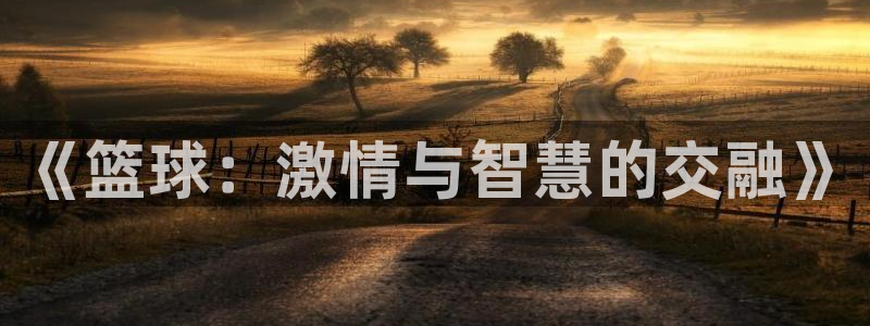 3377体育官网：《篮球：激情与智慧的交融》