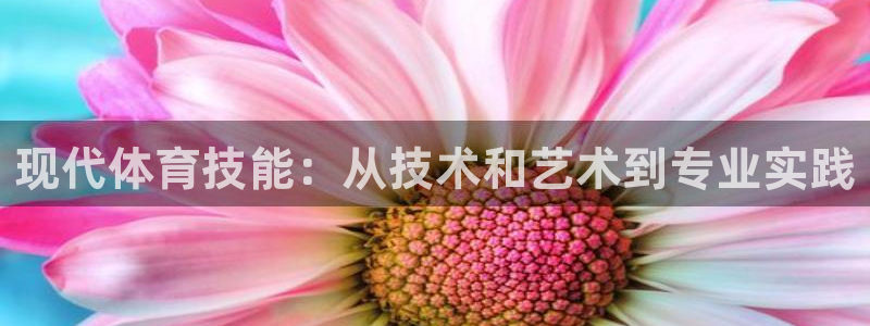 3377体育官网入口网页版：现代体育技能：从技术和艺术到专业实践