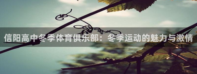 3377体育：信阳高中冬季体育俱乐部：冬季运动的魅力与激情