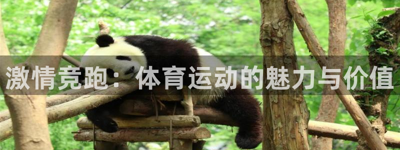 3377体育官方app下载：激情竞跑：体育运动的魅力与价值
