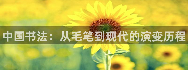 3377体育手机平台：中国书法：从毛笔到现代的演变历程