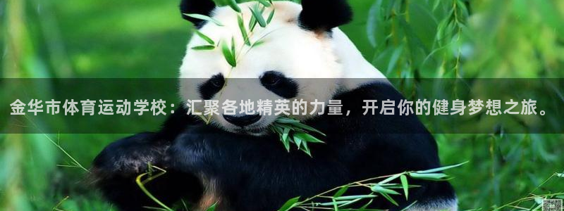 3377体育app登录入口：金华市体育运动学校：汇聚各地精英的力量，开启你的健身梦想之旅。