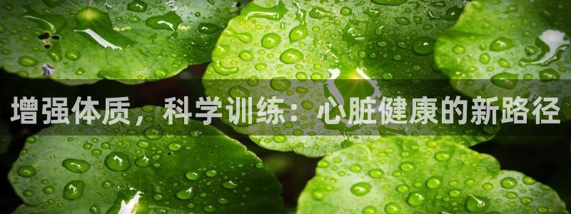 3377体育官网入口网页版：增强体质，科学训练：心脏健康的新路径