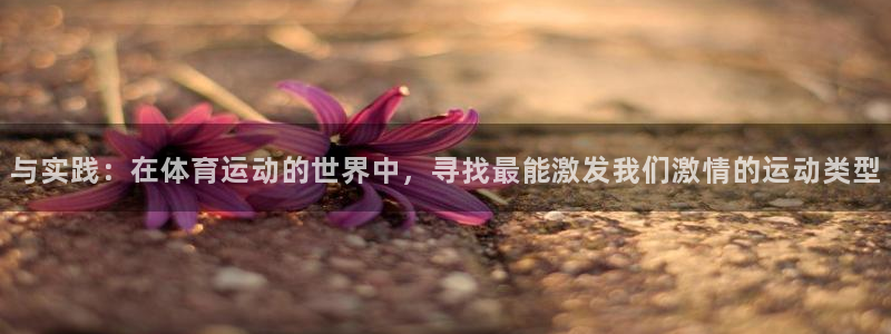 3377体育官网下载：与实践：在体育运动的世界中，寻找最能激发我们激情的运动类型