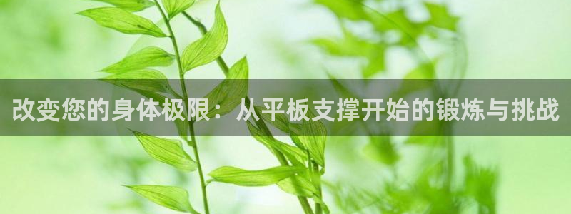 3377体育官网下载：改变您的身体极限：从平板支撑开始的锻炼与挑战