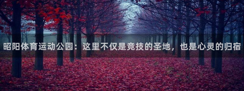 3377体育是正规平台吗：昭阳体育运动公园：这里不仅是竞技的圣地，也是心灵的归宿