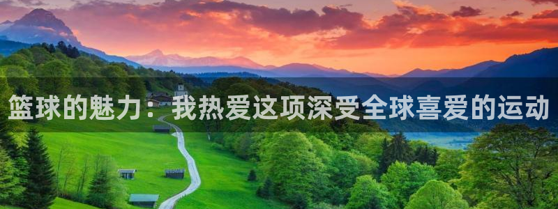 3377体育全网：篮球的魅力：我热爱这项深受全球喜爱的运动