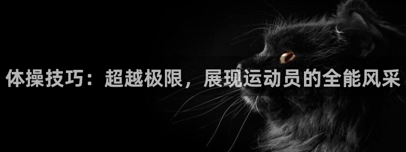 3377体育中国官方网站入口：体操技巧：超越极限，展现运动员的全能风采