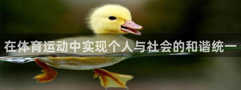 3377体育是正规的吗：在体育运动中实现个人与社会的和谐统一
